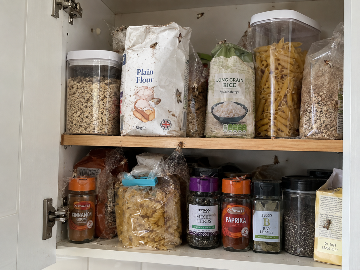 Lebensmittelmotten im Küchenschrank