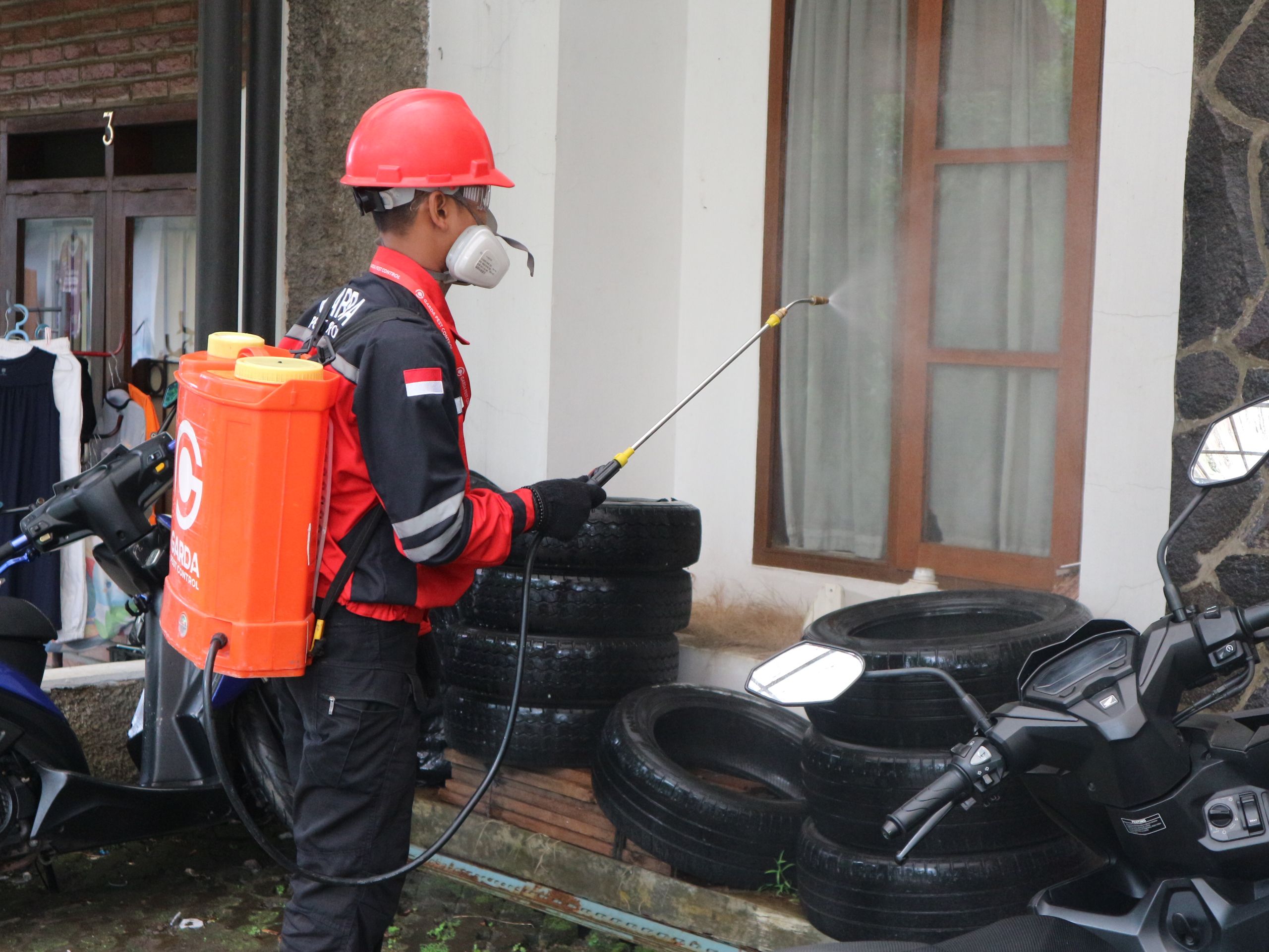 Pest Monitoring Process