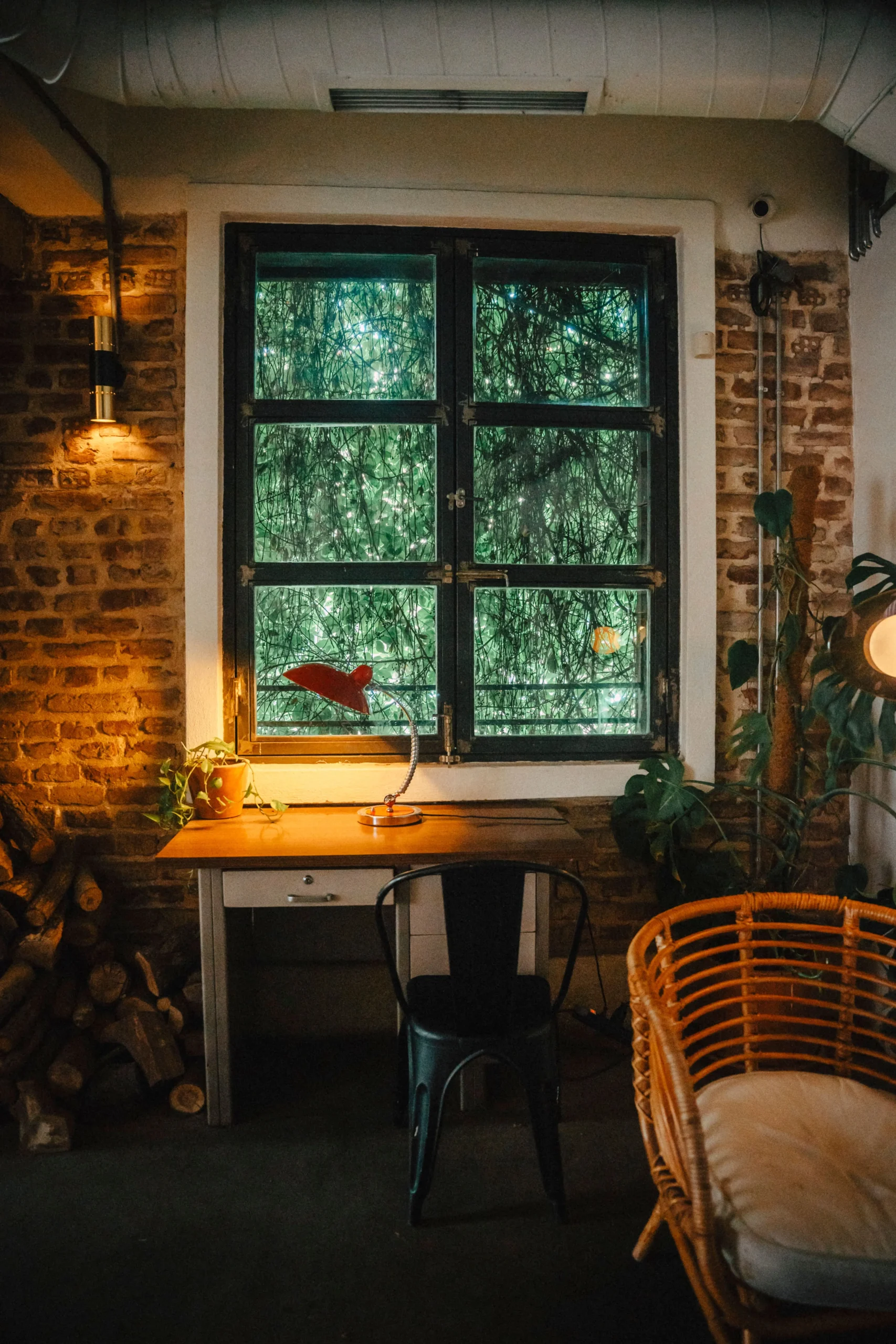 Ratten im Mehrfamilienhaus