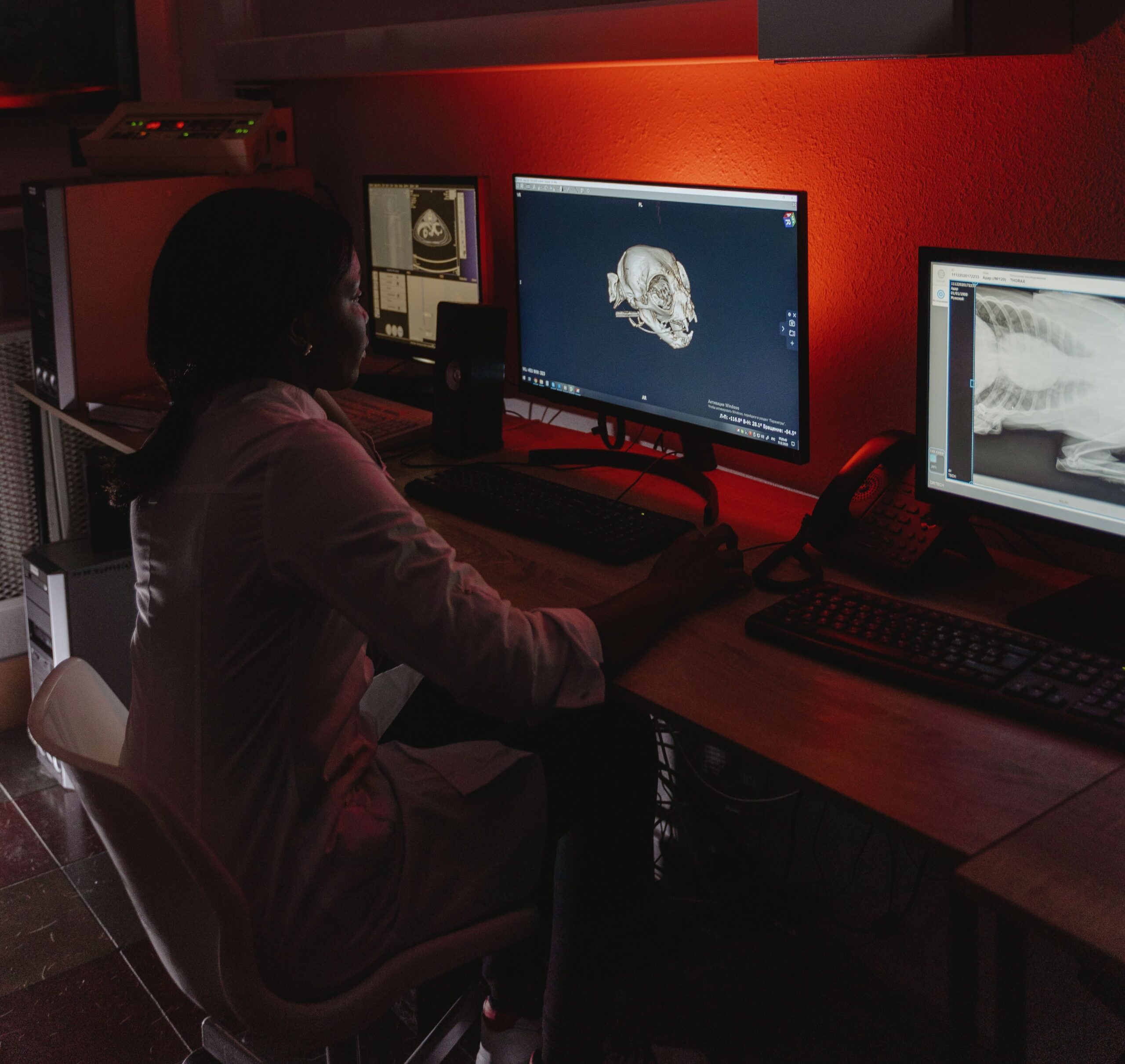 Vier Methoden des modernen Rattenmonitorings im Vergleich